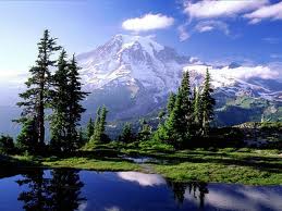 images (1)
